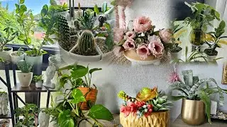 МОИ КАШПО ДЛЯ КОМНАТНЫХ РАСТЕНИЙ #растения #цветы #nature #gardenflowers #обзор #top #