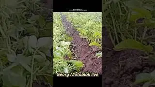 Їжаки для мотоблока своїми руками  ч 1