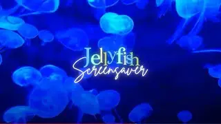 Jellyfish Serenity | 1-Hour HD | Ocean Screensaver