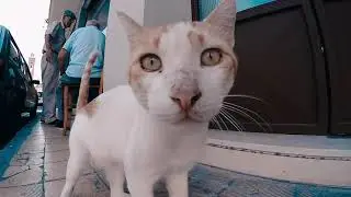 КИПР День 5