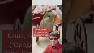 Кеша, Кеша, ты куда бежишь? #попугай #пародия #юмор #юрашатунов #песня