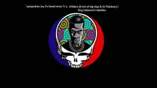 Spinjunkies Jay Z's Dead Tr 1: SPINtro (ft Art of Hip Hop & DJ Thinlenn) / King Solomon's Marbles