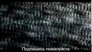 Птичка Disturbed – Down With The (remix)