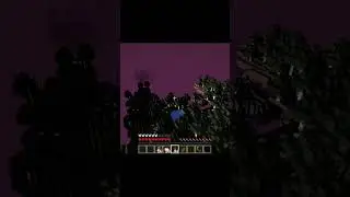 strange forest
