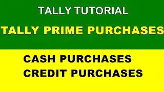 Tally Prime Purchase | Cash / Credit Purchases | Tally Tutorial | Tally Malayalam | All In All Guide