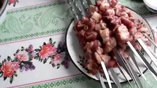 duck shashlik