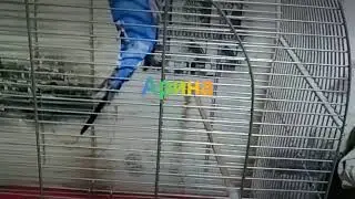 20 листопада 2018 р.