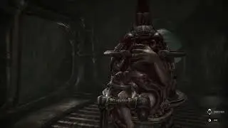 001 Achievement Guide Scorn