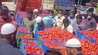 ఈరోజు టమోటా ధర ||Today tamota price in punganur ||tamota costs daily
