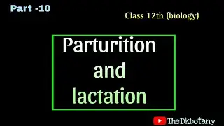 Human reproduction part 10 class 12th biology l parturition and lactation