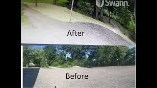 From Forest to yard!