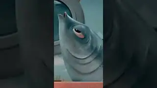 Стайка лосося!!!