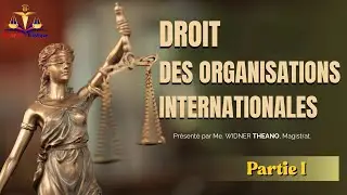 Cours de Droit des Organisations Internationales (Partie I)