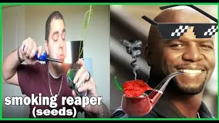 Smoking Carolina Reaper (seeds)...