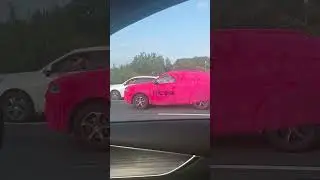 розовая дичь на кольцевой