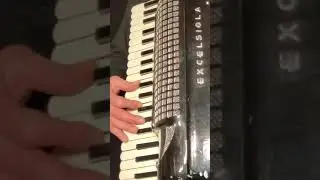 I Will Follow You #1960s #accordion #fisarmonica #karaoke #singalong