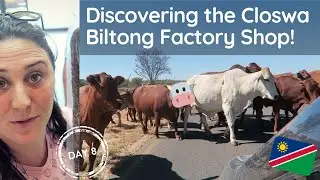 Discovering the Closwa Biltong Factory Shop in Namibia