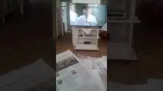 Mr. Bean 11/4