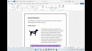 Canine Partners WCAG