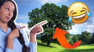 TYPOWE DRZEWO