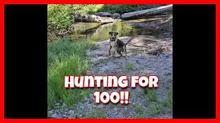 NorCal Killer: the Hunt for 100