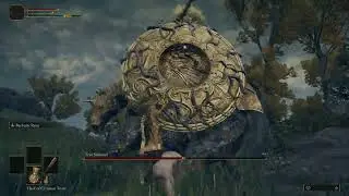 [Elden Ring] Tree Sentinel (Level 1/No damage/2h Melee/No Parry)