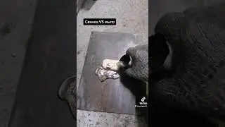 свинец VS мыло