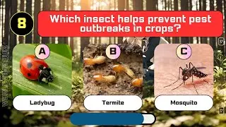 Guess The Animal Role in Nature?