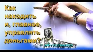 Интервью с финансовым советником С  Тетеркиным