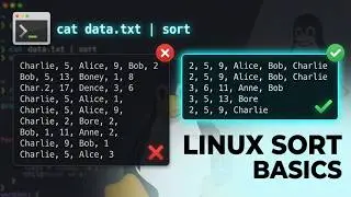 Sort Filter |Linux Tutorial For Beginners |Contact +91 88820 04118 on call/whatsapp.