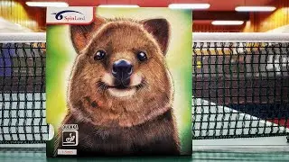 [TT] Spinlord Quokka - Volle Anti-Power voraus!