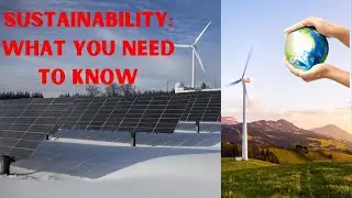 Sustainability: What You Need To Know #sustainability #sustainable #ecofriendly