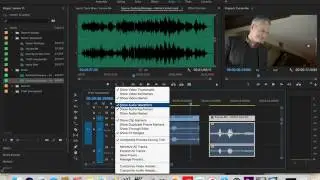 Premiere Pro CC 2017   Viewing Audio Samples