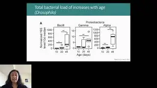 PRECISE MICROBIOME GENOMICS TO PRECISION MEDICINE by Ami S Bhatt - ISCBacademy Webinar