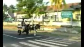 LAGU PERJUANGAN NAHDLATUL WATHAN - BERGURU AGAMA