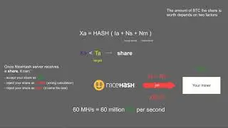 NiceHash explained - Hashing speed, accepted, rejected speed and shares