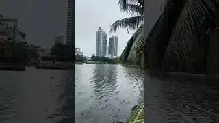 Hauls in big fish but oh no! 🙈 Trúc Bạch Lake, Hanoi Vietnam 🇻🇳