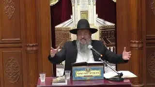 פרשת השבוע |הרב דוד לוי   |ופרשת לך לך עם פירוש 
