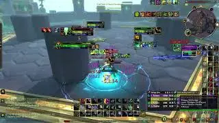 Resto Shaman & Feral Druid Shredding!