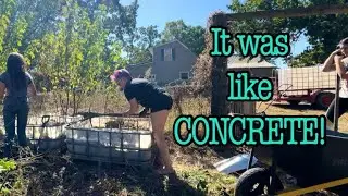 BAD News! | Can We Actually Achieve This?! | LARGE Family Homesteading