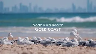 Surf Lessons at North Kirra Beach, Gold Coast, Queensland, Australia
