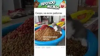 #мемы2022