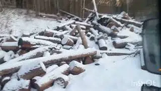 22 января 2024 г.