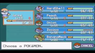 pokemon fireRed randomizer nuzlocke-4 editing software finally worked