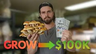 How to Make Your First $100k Growing Mushrooms