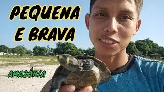 🐢Soltura de uma linda tracajá 🌿