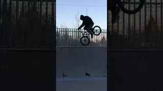 bmx 540 quarter pipe 
