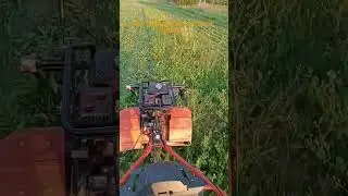 Мотоблок патриот урал косит второй укос. 