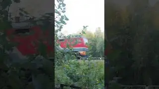 14 августа 2024 г.