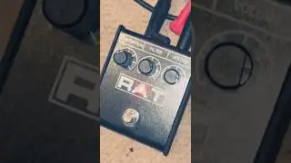 I ❤️ the Proco Rat! 🐀             #guitar #distortion #rat #guitarpedals #fx #rock #noise #music